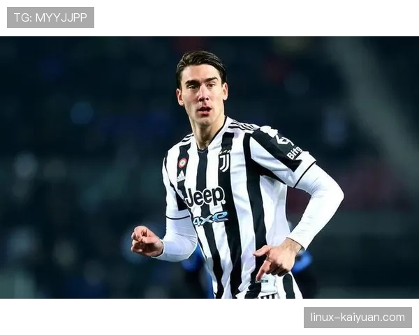 单箭头中锋困境：弗拉霍维奇的战术适配问题