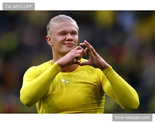 伊萨克与哈兰德之争：新生代中锋的生存逻辑与能力分野