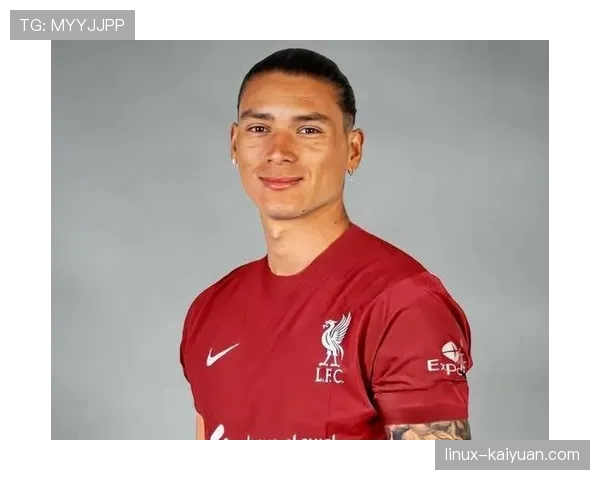 努涅斯与卢卡库：身体型前锋的终结效率差异及战术适配性分析