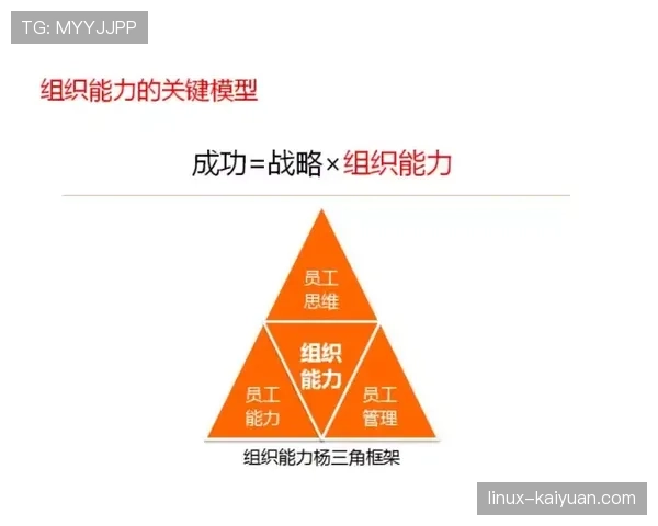 赖斯与卡塞米罗的防守覆盖能力差异及其在体系中的角色定位